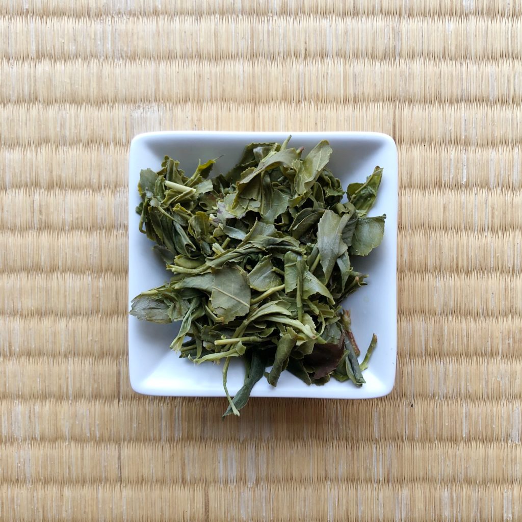 Obubu Tea Sencha of the Summer Sun Green Tea Wet