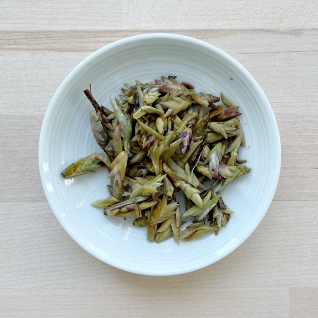 Dish of infused white tea buds